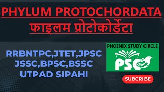 फाइलम प्रोटोकोर्डेटाPHYLUM PROTOCHORDATA [upl. by Lin]