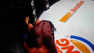 Cheick Kongo Vs Tim Johnson [upl. by Eldnik802]