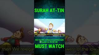 Surat AtTin  Surah Tin  Shia English Translation  Quran For Kids  English Recitation [upl. by Nirehtac]