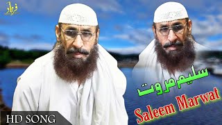 Saleem Marwat Pashto Songs 2022  Pashto Saleem Marwati Songs 2022  سلیم مروت نیوی پشتو غزل [upl. by Emmerich]