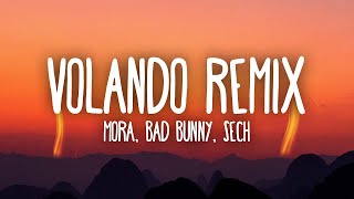 Mora x Bad Bunny x Sech  Volando Remix 1 Hour Music Lyrics [upl. by Hurlbut]