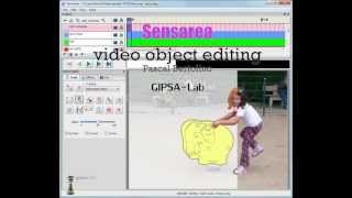 Sensarea  Video object editing [upl. by Peti]