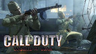 Battle of Stalingrad  CALL OF DUTY WORLD AT WAR NPC Wars [upl. by Player]