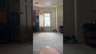 Open the door cat catsofinstagram catsoftiktok funny [upl. by Ottilie98]