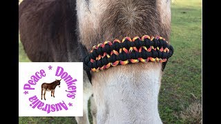 Wide paracord noseband for rope horse halter  KBK bar [upl. by Rebme8]