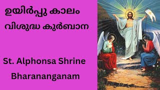 SyroMalabar Holy Qurbana  Fr Gervasis Anithottathil  0530 AM  20042024 [upl. by Zia459]