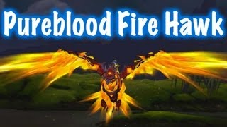 Pureblood Fire Hawk Mount Guide World of Warcraft  drops [upl. by Kemme]