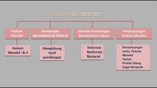 KONSEP BAB POLA HEREDITAS [upl. by Ames]