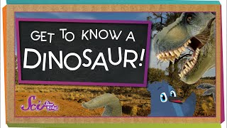 Get to Know a Dinosaur [upl. by Yve641]