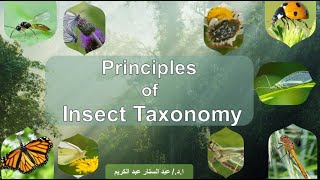 المراتب التقسيمية Taxonomic categories [upl. by Kamal809]