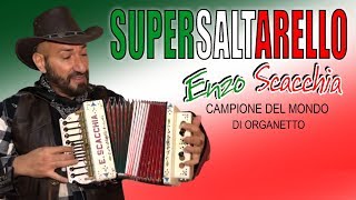 Supersaltarello dal vivo Enzo Scacchia CAMPIONE DEL MONDO DI ORGANETTO saltarello Conejo Pérez [upl. by Iruyas]