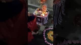 Jahan Tulsi ka paudha hota ai🌺🌿🌷☘️likesharesubscribe [upl. by Zat382]