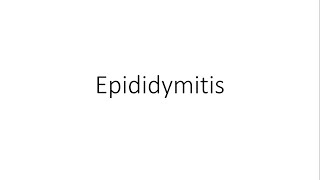 Epididymitis  General Surgery [upl. by Arrahs558]