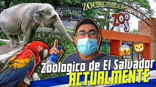 😱🦁 Así esta ACTUALMENTE el ZOOLÓGICO de El SALVADOR 🇸🇻 en 202🐒 [upl. by Waldos]