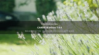 Canon 1880mm Test Shots [upl. by Ehcram]