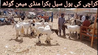 Wholesale Bakra Mandi Memon Goth Malir Gadap Karachi Qurbani 2024 [upl. by Violette]