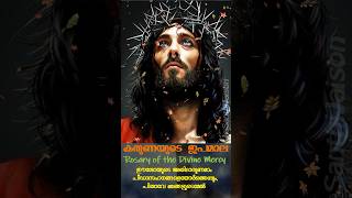 Karunayude Japamala  കരുണയുടെ ജപമാല കരുണ കൊന്ത  Rosary of the Divine Mercy shortsfeed miracle [upl. by Haidadej]