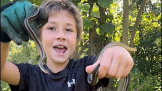 SNAKES Join me while I catch 10 snakes and share some fun facts about them [upl. by Wilkins]