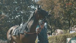 Galopprennbahn BadenBaden  Aftermovie Baden Galopp 2021 [upl. by Ymor]