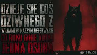 Coś dziwnego dzieje się z wilkami w naszym rezerwacie Co rok ginie jedna osoba  CreepyPasta PL [upl. by Aissat533]