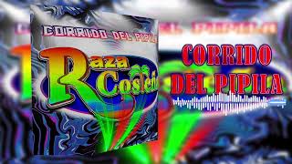 Raza CosteñaCorrido Del Pipila [upl. by Dagney850]