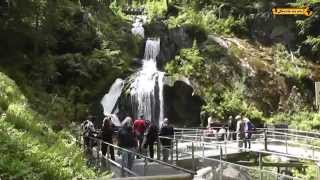 Triberger Wasserfälle Wasserfall Waterfall Black Forest Schwarzwald [upl. by Mohorva625]