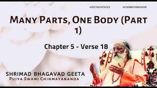 Bhagavad Geeta  Many Parts One Body Part 1 Chapter 5 Verse 18 [upl. by Nivram663]