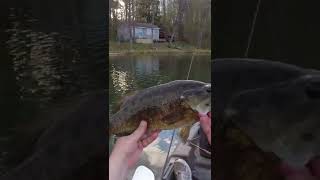 Whopper on the Plopper [upl. by Dloraj223]