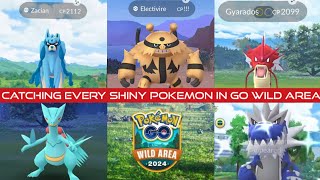 Catching Every shiny Pokemon in POKEMON GO WILD AREA 2024  best event of all time 4 star pokemon [upl. by Crofoot]