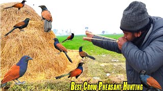 Best Crow Pheasant Hunting With Handmade Slingshot [upl. by Airbas128]