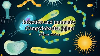 Campylobacter jejuni [upl. by Conard]