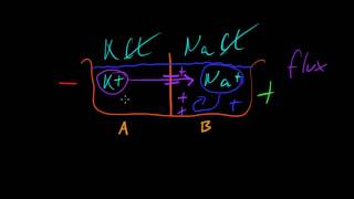 Part 6a  Resting Membrane Potential [upl. by Adamsen]