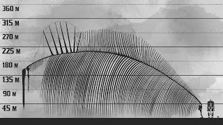 The New Biggest Titan  Attack on Titan Size Comparison [upl. by Thayer]