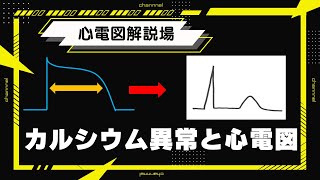 心電図解説場（Ca異常編） [upl. by Eimme]