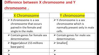 Difference between X chromosome and Y chromosome [upl. by Llenehs]