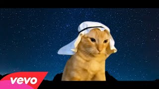 Arabian cat  Official Music VIdeo ftPanjabi MC [upl. by Nazar932]