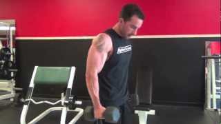 Fonzies Bicep Workout  Exercises you will not see every day [upl. by Elocn]