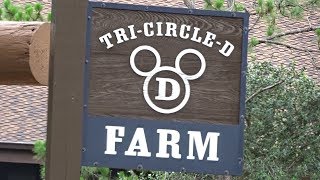 Magic Kingdom and TriCircle D Ranch [upl. by Tnerb]