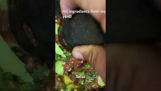 salsa guacamole chile molcajete yummy eatwhatyougrow [upl. by Folberth]