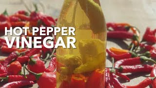 Hot Pepper Vinegar [upl. by Atiuqihs722]