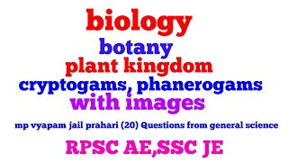 Biology  botany   topic  cryptogams phanerogams for mp vyapam jail prahariSSC jeRpsc ae [upl. by Nahgam663]