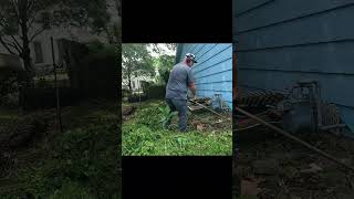 Homeowner Cried When I Finished Her Overgrown Lawn Part 1 lawncare overgrownlawn [upl. by Cesaria537]