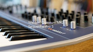 Waldorf Quantum Mk2 and Pro 3 Dream [upl. by Atinaj769]