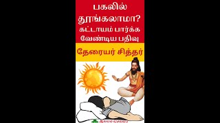 பகலில் தூங்கலாமா தேரையர் சித்தர்  கட்டாயம் பார்க்க வேண்டிய பதிவு shorts [upl. by Grube]