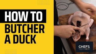 How to butcher a whole duck [upl. by Ecinaj]