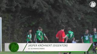 SC Schwarzenbek  Meiendorfer SV 2 Runde ODDSETPokal  Spielszenen  ELBKICKTV [upl. by Esemaj583]