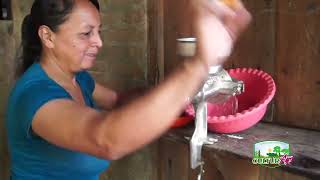 Funcionamiento deshidratador de alimentos casero CulturAgro [upl. by Espy]