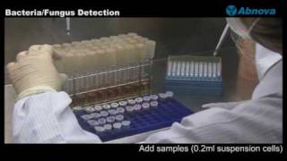 BacteriaFungus Detection [upl. by Abdulla]