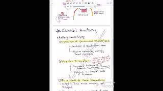 Axillary Nerve  Circumflex Nerve Complete Notes and Explanation [upl. by Noyk159]