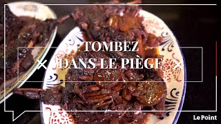 Tombez dans le Piège 158  la cuisson du lièvre à la royale [upl. by Nadaha987]